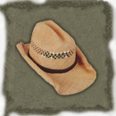 New Cowboy Hat