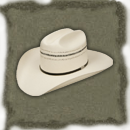 Texan Hat