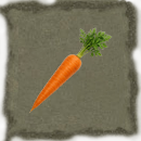 Carrot