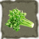 Celery