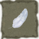 Feather