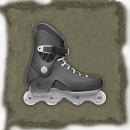 Roller Blades