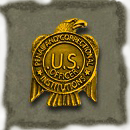 Gold Prison Guard Badge