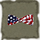 Patriot Bow Tie
